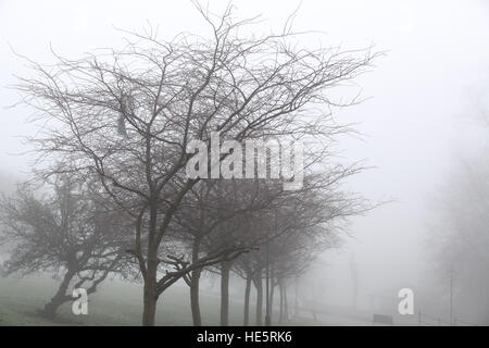 Alexandra Palace, a nord di Londra, Regno Unito. Xvii Dec, 2016. Vista della fitta nebbia di mattina su Alexandra Palace © Dinendra Haria/Alamy Live News Foto Stock