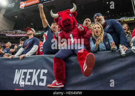 Houston, Texas, Stati Uniti d'America. Xviii Dicembre, 2016. Houston Texans mascotte Toro e Texans tifosi durante il secondo trimestre di un gioco di NFL tra Houston Texans e Jacksonville Jaguars a NRG Stadium di Houston, TX su dicembre 18th, 2016. I Texans hanno vinto il gioco 21-20. © Trask Smith/ZUMA filo/Alamy Live News Foto Stock