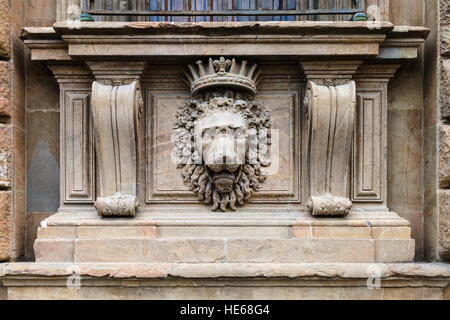 Viaggiare in Italia - testa leone decorazione della parete esterna di palazzo Pitti a Firenze città Foto Stock