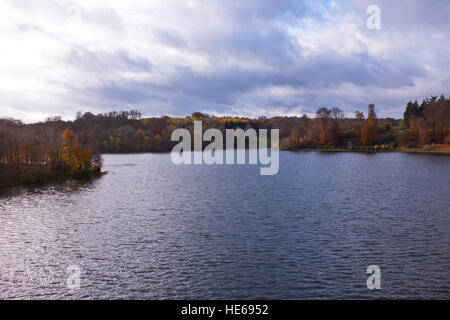 Il Palazzo di Blenheim,motivi,camere di stato,giardini formali,Country Estate,Casa di Sir Winston Churchill,Woodstock,Oxon,Gran Bretagna Foto Stock