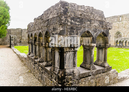 Le rovine di una cancelleria all Abbazia di Cong, Irlanda Foto Stock