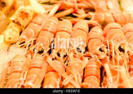 Frutti di mare - gamberi freschi su ghiaccio al mercato del pesce Foto Stock