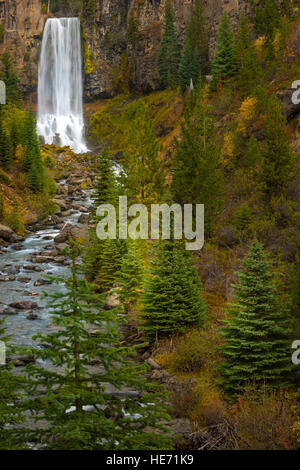 Tumalo cade Deschutes National Forest vicino a curvatura Oregon Foto Stock