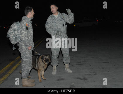 Tech. Sgt. Michael Coulter, distribuito dalla 305delle forze di sicurezza squadrone a McGuire Air Force Base N.J., spiega il piano di gioco per la notte dell'esercito Sgt. Allen Anstee e Sammy, militari cane da lavoro di team, dopo la loro terra in una base aerea nel sud-ovest Asia, 24 genn. Sgt. Coulter è un funzionario di collegamento da MWD del mozzo nella carica di assicurandosi che le esigenze di lavoro i cani e i loro gestori di eventi sono soddisfatte quando arrivano come anche mentre sono in attesa per il loro prossimo volo. Foto Stock