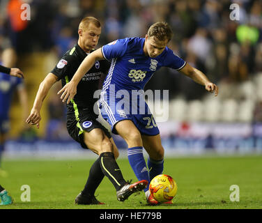 Birmingham City di Greg Stewart (destra) e Brighton e Hove Albion Steve Sidwell durante il cielo di scommessa match del campionato a Sant'Andrea, Birmingham. Stampa foto di associazione. Picture Data: Sabato 17 dicembre 2016. Vedere PA storia Calcio Birmingham. Foto di credito dovrebbe leggere: Barrington Coombs/filo PA. Restrizioni: solo uso editoriale nessun uso non autorizzato di audio, video, dati, calendari, club/campionato loghi o 'live' servizi. Online in corrispondenza uso limitato a 75 immagini, nessun video emulazione. Nessun uso in scommesse, giochi o un singolo giocatore/club/league pubblicazioni. Foto Stock