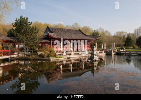 Gärten der Welt (Giardini del Mondo). Giardino Cinese. Berlino, Germania. Foto Stock