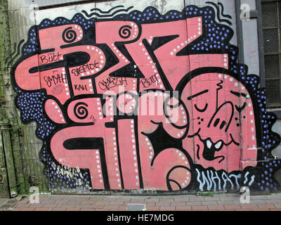 Graffiti Belfast Garfield St, Centro citta', l'Irlanda del Nord, Regno Unito Foto Stock