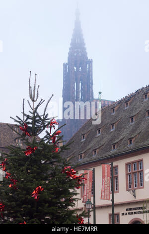 La cattedrale di Strasburgo in salita la nebbia dietro a un albero di Natale Foto Stock