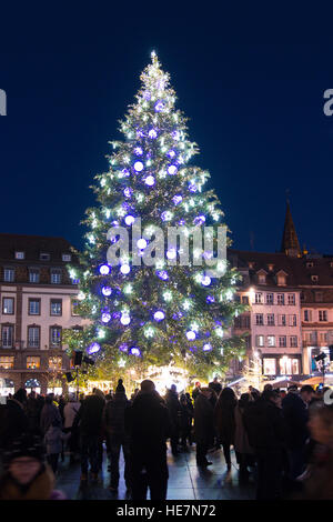 Il gigantesco albero di Natale in Place Kléber durante il periodo natalizio, Strasburgo, Francia Foto Stock