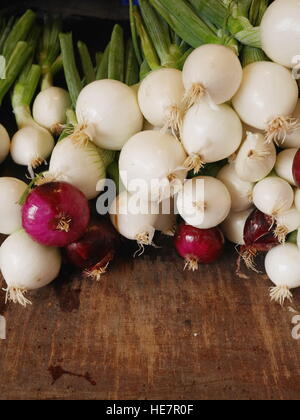 Mercato organico di cipolle Foto Stock