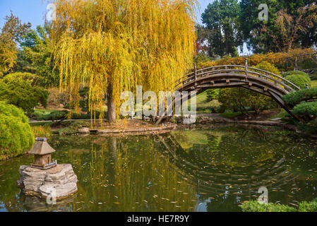 La bella cascata di colori dei giardini giapponesi in la Biblioteca di Huntington. Foto Stock