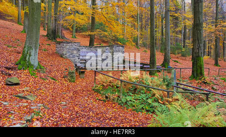 Spreequelle am Kottmar - Fiume Spree source presso la montagna Kottmar in Sassonia Foto Stock