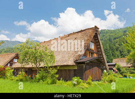 Vecchia casa di singolare stile Gassho con tetto di paglia in Ogimachi villaggio di Shirakawa-go distretto. Sito del Patrimonio Mondiale di UNESCO Foto Stock