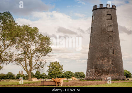 Il mulino di nero su Beverley Westwood, al di fuori della città di Beverley in East Riding of Yorkshire Foto Stock