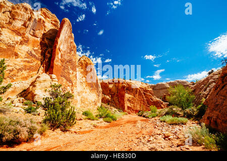 Grand Wash è un famoso gorge che taglia il suo modo attraverso la porzione superiore del Waterpocket Fold nel Parco nazionale di Capitol Reef. Foto Stock