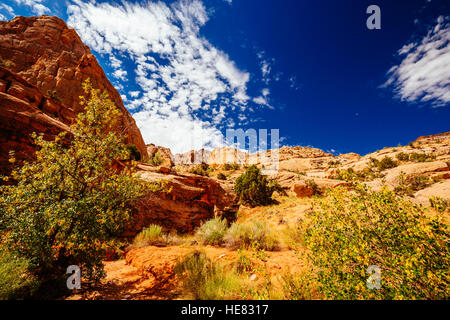 Grand Wash è un famoso gorge che taglia il suo modo attraverso la porzione superiore del Waterpocket Fold nel Parco nazionale di Capitol Reef. Foto Stock