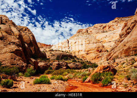 Grand Wash è un famoso gorge che taglia il suo modo attraverso la porzione superiore del Waterpocket Fold nel Parco nazionale di Capitol Reef. Foto Stock