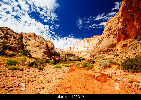 Grand Wash è un famoso gorge che taglia il suo modo attraverso la porzione superiore del Waterpocket Fold nel Parco nazionale di Capitol Reef. Foto Stock