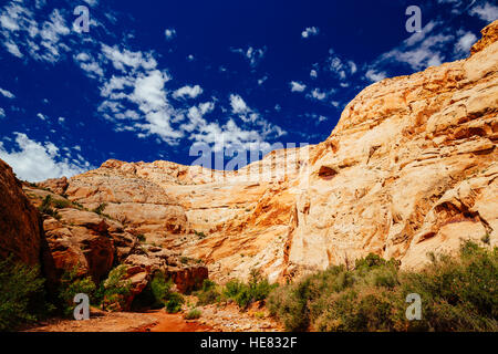 Grand Wash è un famoso gorge che taglia il suo modo attraverso la porzione superiore del Waterpocket Fold nel Parco nazionale di Capitol Reef. Foto Stock