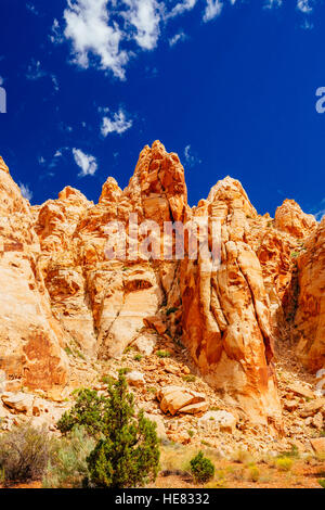 Grand Wash è un famoso gorge che taglia il suo modo attraverso la porzione superiore del Waterpocket Fold nel Parco nazionale di Capitol Reef. Foto Stock