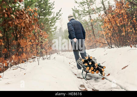 L'uomo porta legno su una slitta in inverno boschi innevati. Foto Stock