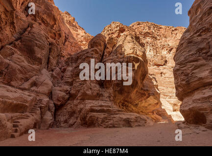 Splendide rocce e natura in Petra, Giordania Foto Stock