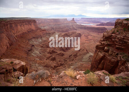 'Dead cavallo' stato parco vicino al Canyonlands Narional Park in Utah, Stati Uniti d'America Foto Stock