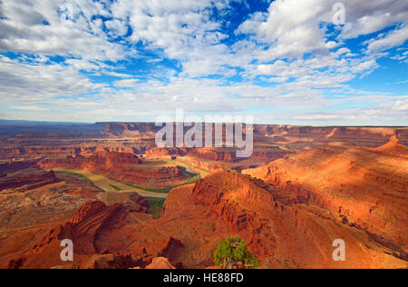 'Dead cavallo' stato parco vicino al Canyonlands Narional Park in Utah, Stati Uniti d'America Foto Stock