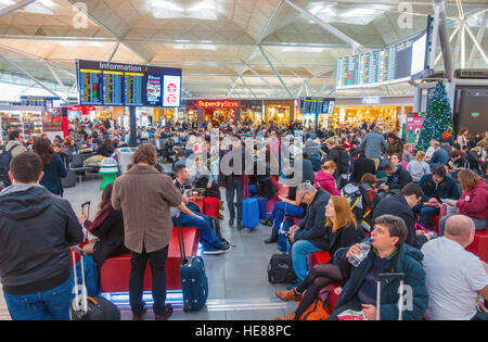 Vacanze di Natale la folla presso l'aeroporto di Stansted per la fuga di vacanza. Foto Stock