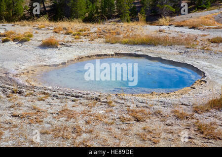 Colorate acqua calda piscina nel parco nazionale di Yellowstone, STATI UNITI D'AMERICA Foto Stock