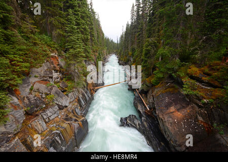 Creek in canyon Kootenay National Park, Canada Foto Stock