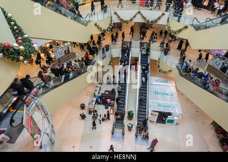 La Folla di last minute shoppers pack il Queens Center Mall nel quartiere di Queens a New York sulla cosiddetta Super Sabato, Dicembre 17, 2016. Perché la vigilia di Natale e Hanukah sia caduta su Sabato questa è stata l'ultima giornata di sabato shopping prima della vacanza. (© Richard B. Levine) Foto Stock