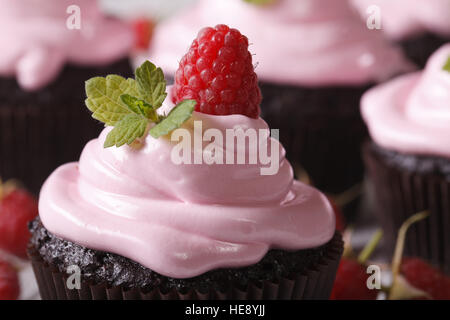 Bella tortini di cioccolato con crema rosa e lampone macro. orizzontale Foto Stock