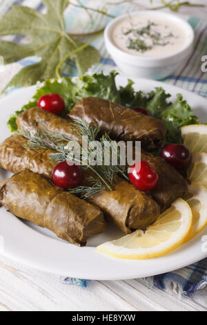 Foglie di uva ripiene di carne e riso su una piastra verticale. Foto Stock