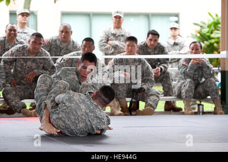 Stati Uniti I soldati dell esercito, Esercito Guardia nazionale, Hawaii, competere durante la porzione combatives del guerriero migliore concorrenza Il 2 marzo, 2014, al Marine Corps Area Formazione soffietto, Hawaii. Esercito moderno Combatives è un close quarters combatives sistema progettato per consentire un soldato per chiudere con il nemico e distruggerli. Il personale Sgt. Christopher Hubenthal) Foto Stock