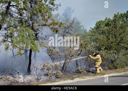 I vigili del fuoco dalla 106ª Ala di salvataggio assistere con spegnimento di un incendio a spazzola in Westhampton, N.Y., il 10 agosto, 2015. Complessivamente otto camion spazzola, sette navi e 14 diversi reparti antincendio hanno lavorato insieme per combattere l'incendio che distrusse quattro acri di terreno lungo il lato ovest della vecchia Riverhead Road. (New York Air National Guard/Staff Sgt. Christopher S Muncy) Foto Stock