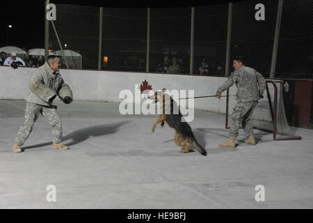 Stati Uniti Army Spc. Marcus Bernardy, 2-508 Parachute reggimento di fanteria e il suo cane Saryk, un militare di cane da lavoro, dimostrare la capacità di attacco, Dic 28. La tuta decoy protegge Pvt. Jayson Holden, quinta brigata, 2a divisione di fanteria che volontariamente per assistere con la dimostrazione al Canadian street hockey ghiaccio, Kandahar boardwalk, Kandahar Airfield, Afghanistan. Il personale Sgt. Christine Jones Foto Stock