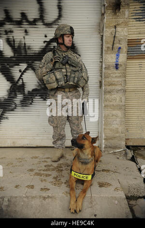 Stati Uniti Il personale dell'esercito Sgt. Michael entre, attaccato alla Sede Società, XXV divisione di fanteria, e il suo cane di polizia, Ronnie, stand-by durante una compensazione e il censimento nel quartiere Zinjali di Mosul, Iraq, 28 febbraio, 2009. Foto Stock