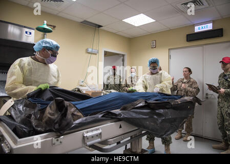 CAMP LEMONNIER, Gibuti - Volontari DA PARTE DEGLI STATI UNITI Navy, Marines, Esercito e Air Force prova le loro nuove abilità in camera mortuaria affari punto di raccolta dei processi e procedure durante un incidente di massa esercizio, Giugno 1, 2016 a Camp Lemonnier, Gibuti. L'esercizio ha iniziato a una vicina airfield quando un veicolo mock-borne improvvisato dispositivo esplosivo detonato provocando due vittime per testare la ricerca e il recupero, di comunicazione, di coordinamento e di affari mortuaria punto di raccolta i processi tra Camp Lemonnier, Combined Joint Task Force-Horn dell Africa e del vicino aeroporto di personale. Il personale Sgt. Tiffany Foto Stock