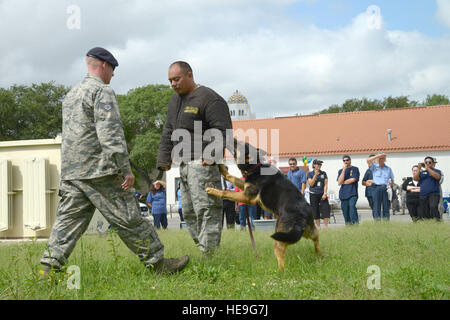 Il personale Sgt. Michael Moore e decoy Sgt tecnico. Michael Sengphradeth, 902nd delle forze di sicurezza Squadron, e il suo cane Ramon dimostrano come i cani attaccano i trasgressori Giugno 4, 2014, durante i giorni critici di evento estivo a base comune San Antonio-Randolph. Joel Martinez) Foto Stock