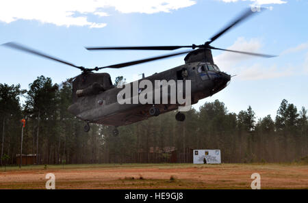 Un CH-47 elicottero Chinook assegnato al compito comune della Force-Bravo 1-228esimo reggimento di Aviazione si diparte Mocoron, Honduras, durante un'operazione come parte della Joint Task Force-Bravo culminante dell esercizio (CULEX), Dicembre 4, 2013. Per la zanzara Culex, più di 90 membri della Joint Task Force-Bravo distribuito al dipartimento di Gracias a Dios, Honduras, di condurre entrambi reali e le operazioni di esercizio. Il cap. Zach Anderson) Foto Stock