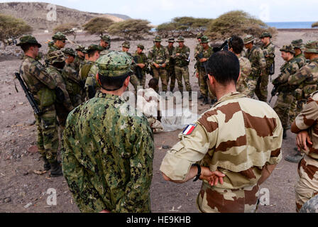 Stati Uniti Navy Capt. Darwin Webster, e l'esercito francese Il Mag. Pierre Simon, guarda come membri del francese quinto reggimento Marines, viene insegnato come filtro e purificare acqua durante un Desert Combat Corso di formazione in Gibuti, 3 marzo 2013. La quinta francese reggimento marino ha invitato i membri della Combined Joint Task Force-Horn dell Africa a partecipare al Desert Combat Corso di formazione per aiutare a rafforzare il partenariato tra i militari alleati. Airman 1. Classe Nicholas Byers Foto Stock