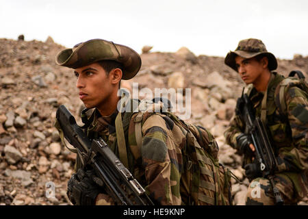 Marines francese, 5° francese reggimento Marine, preparare per avviare una notte di combattimento in tempo il segmento di movimento del Desert Combat Corso di formazione in Gibuti, Marzo. 2,2013. La quinta francese reggimento marino ha invitato i membri della Combined Joint Task Force-Horn dell Africa a partecipare al Desert Combat Corso di formazione per aiutare a rafforzare il partenariato tra i militari alleati. Airman 1. Classe Nicholas Byers Foto Stock