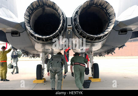 Un US Air Force (USAF) e pilota USAF Crewchief, novantesimo Fighter Squadron (FS), Elmendorf Air Force Base (AFB), Alaska (AK), eseguire una passeggiata per ispezione di un USAF F-15E Eagle prima di una missione durante l'esercizio PULEDRO EAGLE. Foto Stock