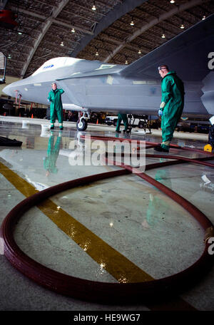 Senior aviatori Michael Doane e Derrik Gildea lavare un F-22 Raptor dal novantesimo Fighter Squadron 14 Agosto a Elmendorf Air Force Base in Alaska. Hanno lavato il velivolo per la prima volta il Agosto 14 poiché il velivolo è arrivato il Agosto 8. Il aviatori sono assegnati al 3° Manutenzione aeromobili squadrone. Senior Garrett Hothan) Foto Stock