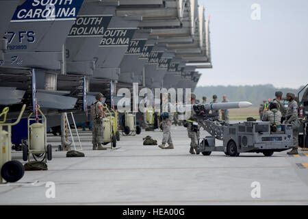 Avieri assegnato al 169Fighter Wing preparare il lancio F-16 Fighting Falcon per missioni durante un esercizio di preparazione, 11 aprile 2013, a McEntire comune di Guardia Nazionale Base, S.C. Membri del 169FW si stanno preparando per la prossima ispezione di fattibilità che valuta il gruppo nella sua capacità di elaborare il personale e le attrezzature da home stazione in una posizione dispiegata in modo sicuro ed efficiente, quindi azionare e missioni di lancio in una lotta chimica ambiente. (U.S. Air National Guard photo/Tech. Sgt. Caycee Watson) Foto Stock