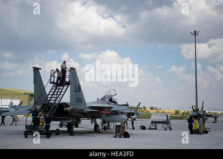 Avieri del 48th Fighter Wing opera su di un F-15C Eagle dal 493rd Fighter Squadron durante anatolica Eagle 15 al 3° getto principale Base, Turchia, 10 giugno 2015. Circa 250 personale e 12 F-15 aeromobile dal 48th FW, Royal Air Force Lakenheath, Inghilterra, ha partecipato a due settimana di esercizio. Tech. Sgt. Eric Burks Foto Stock