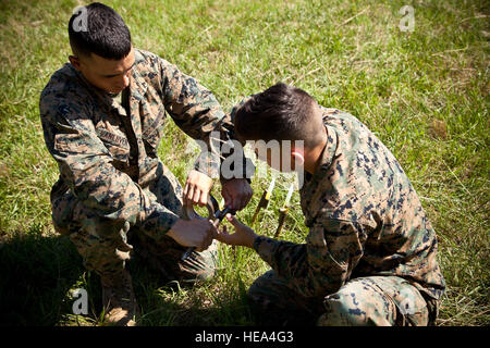 Stati Uniti Marines assegnato per le operazioni di logistica la scuola (LOS), Marine Corps Combat Service Support scuole, collegare le luci di chimica a pali durante un elicottero Support Team (HST) esercizio di Camp Lejeune, N.C., Giugno 8, 2016. Le luci chimiche sono collocati nel terreno per illuminare la zona di atterraggio zona di notte. Lancia Cpl. Manuel A. Serrano Foto Stock