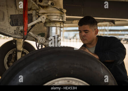 Airman 1. Classe Rene Martinez, 494th Fighter Wing, Royal Air Force, Lakenheath, Inghilterra, prepara un F-15 Strike Eagle per il decollo durante un armi aria-terra di sistema programma di valutazione(WSEP) a Hill AFB, Utah, Agosto 13, 2014. WSEP è una formazione annuale esercizio dove l'efficacia, manutenibilità, idoneità e accuratezza delle munizioni a guida è valutata. Il 494th FW, nonché il 510th FW dalla base aerea di Aviano, Italia, hanno aderito 388 Fighter Wing di Hill AFB, Utah. Airman 1° classe regina Taylor Foto Stock