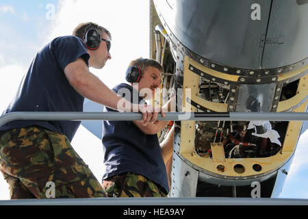 Manutentori di aeromobili dal Royal New Zealand Air Force opera su un RNZAF C-130 Hercules motore su base comune Elmendorf-Richardson, Alaska, e il Agosto 5, 2015. Il contingente RNZAF è su JBER a partecipare a bandiera rossa 15-3, una serie di Pacific Air Forces commander-diretto esercizi di addestramento per gli Stati Uniti e le forze internazionali, per fornire offensiva congiunta, contatore-aria, interdizione aria vicino il supporto e la grande forza di occupazione in un combattimento simulato l'ambiente. Alejandro Pena) Foto Stock